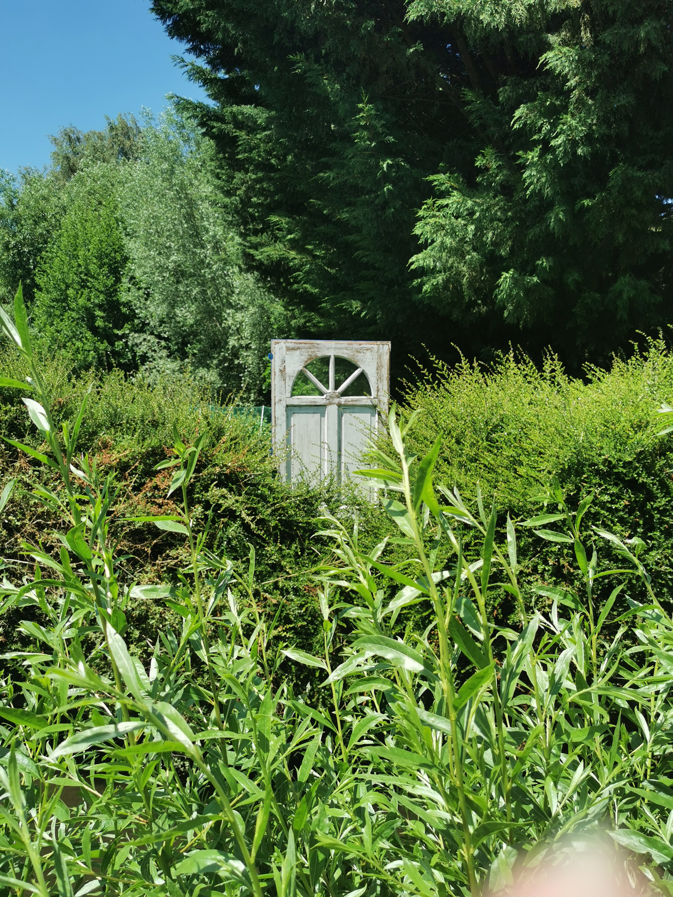 Photo n° 4 de l'avis de pierre.a fait le 13/06/2021 à 15:46