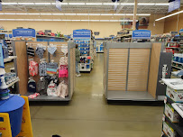 PetSmart - Photo 5 - Car repair in Oshkosh, WI, Appleton