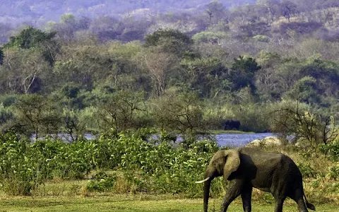 Majete Wildlife Reserve image