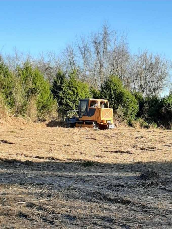 Robinson Environmental Land Clearing