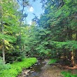 Brush Hollow Trailhead, PA