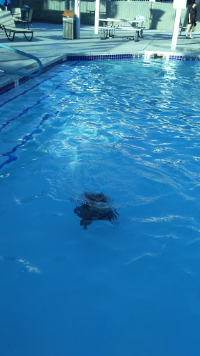 Recreation Center «Smoke Ranch Recreation Center», reviews and photos, 2750 Chandler Mews Dr, Las Vegas, NV 89108, USA