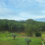 Photo n°2 de l'avis de Sara.o fait le 18/03/2024 à 09:59 sur le  AR Country House à Cadaval