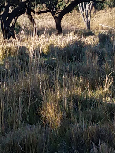 Performing Arts Theater «Blue Man Group», reviews and photos, 6000 Universal Blvd, Orlando, FL 32819, USA