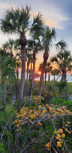 Club «Bay Colony Beach Club», reviews and photos, 8553 Bay Colony Dr, Naples, FL 34108, USA