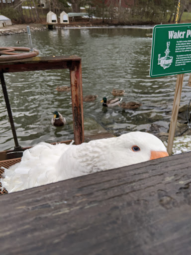 Winery «Fly Creek Cider Mill & Orchard», reviews and photos, 288 Goose St, Fly Creek, NY 13337, USA