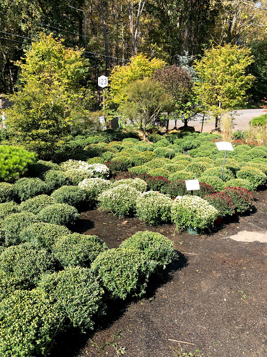 Garden Center «Copia Home and Garden», reviews and photos, 475 Smith Ridge Rd, South Salem, NY 10590, USA