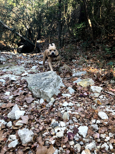 Hyridge Creek Park