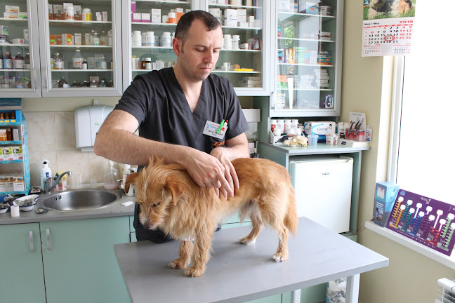 Вива Вет - Ветеринарна болница