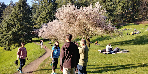 Park «Mt. Tabor Park», reviews and photos, SE Salmon St, Portland, OR 97215, USA