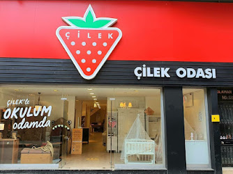 Çilek Odası | Fatsa