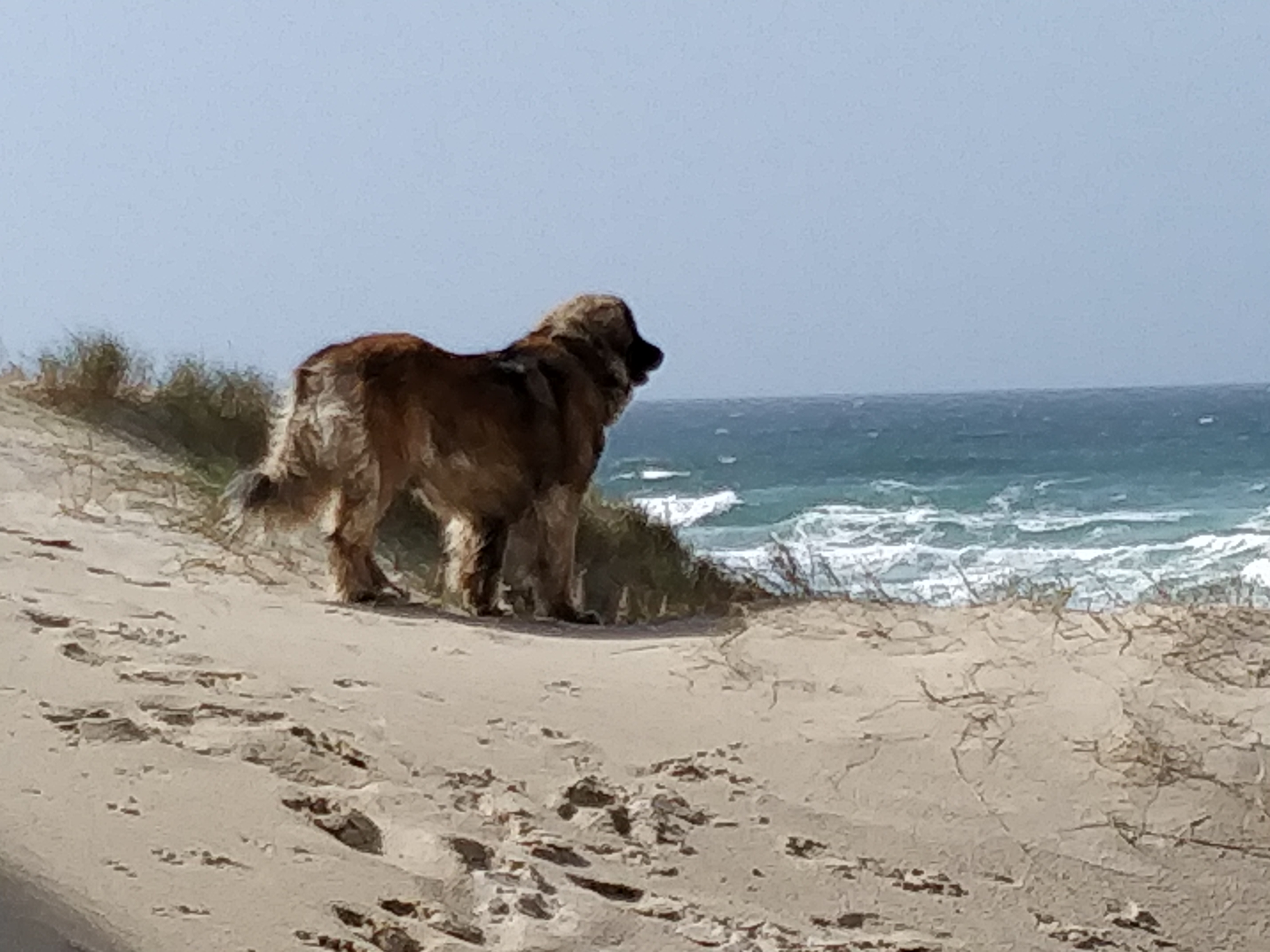 Photo n° 3 de l'avis de daniel.u fait le 16/10/2019 à 15:34