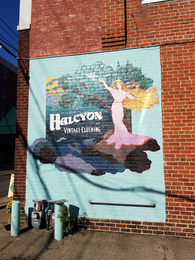 Vintage Clothing Store «Halcyon Vintage Clothing», reviews and photos, 117 N Robinson St, Richmond, VA 23220, USA