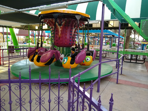 Amusement Park «Castles ~n~ Coasters», reviews and photos, 9445 N Metro Pkwy E, Phoenix, AZ 85051, USA