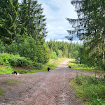 Photo n°1 de l'avis de Max.m fait le 13/08/2023 à 15:55 sur le  Lenzkirch Höhe à Lenzkirch