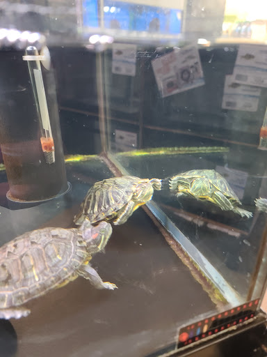 Pet Supply Store «Petco Animal Supplies», reviews and photos, 3055 N President George Bush Hwy, Garland, TX 75040, USA