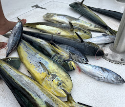 Martin's Fishing Adventures photo