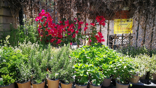 Grocery Store «Diamond Fresh Farmers Market», reviews and photos, 21168 Golden Springs Dr, Walnut, CA 91789, USA