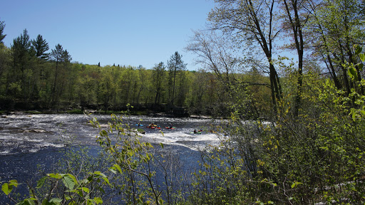 Hotel «Residence Inn by Marriott Bloomington by Mall of America», reviews and photos, 7850 Bloomington Ave S, Bloomington, MN 55425, USA
