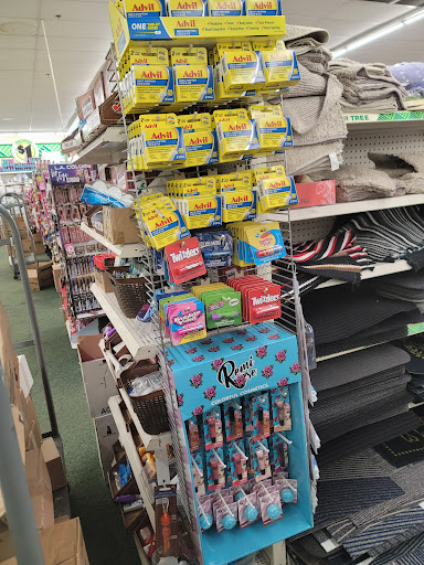 Dollar Store «Dollar Tree», reviews and photos, 7373 52nd Pl E, Bradenton, FL 34203, USA