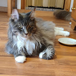 Photo n°3 de l'avis de aurora.u fait le 31/08/2021 à 05:24 sur le  Hotel Ristorante Cimone à Riolunato