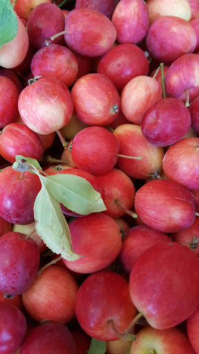 Produce Market «B&P Hitz Fruit Farm (Apples N Produce)», reviews and photos, 14070 Wilco Hwy NE, Woodburn, OR 97071, USA