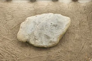 Plymouth Rock image