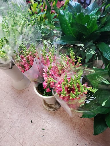 Florist «Malone’s Flower Shop», reviews and photos, 17 W Pike St, Canonsburg, PA 15317, USA