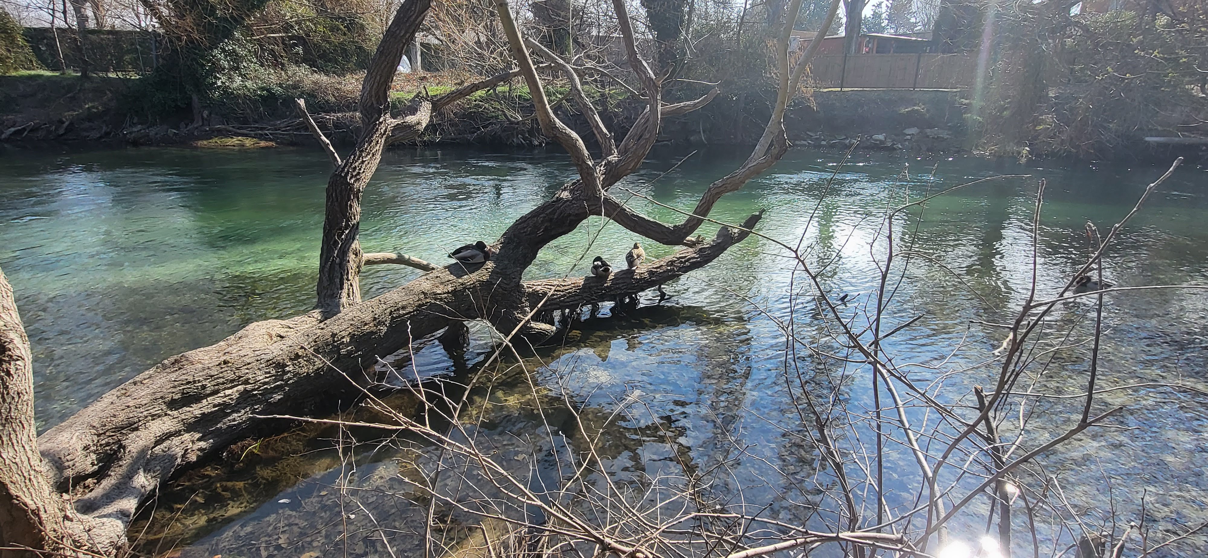 Photo n° 3 de l'avis de Estelle.a fait le 07/03/2023 à 14:45