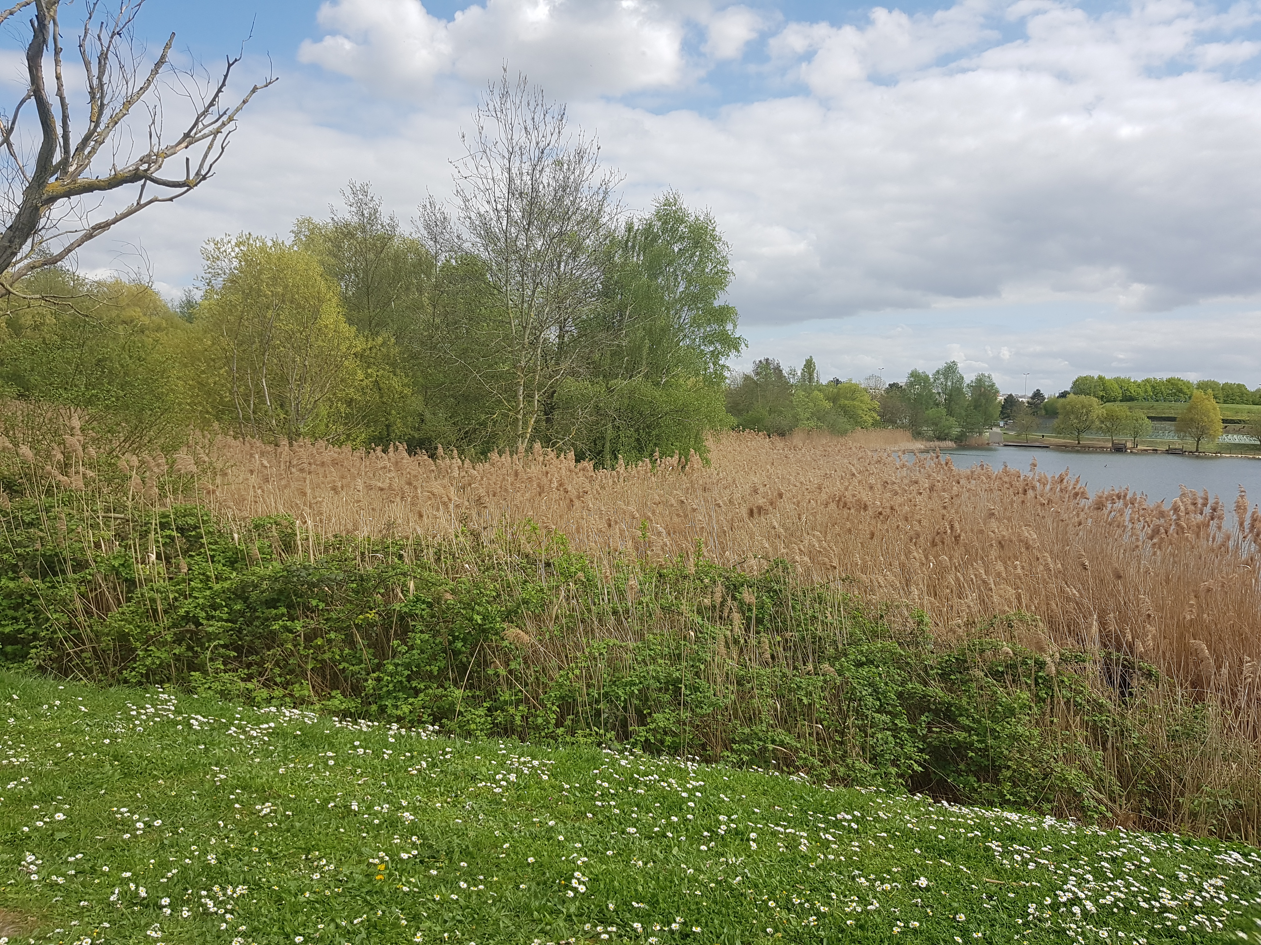 Photo n° 18 de l'avis de Mériame. fait le 16/04/2018 à 15:22
