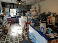 Swim World - Car repair in Midlothian, VA, Richmond - Rated 4.7/5