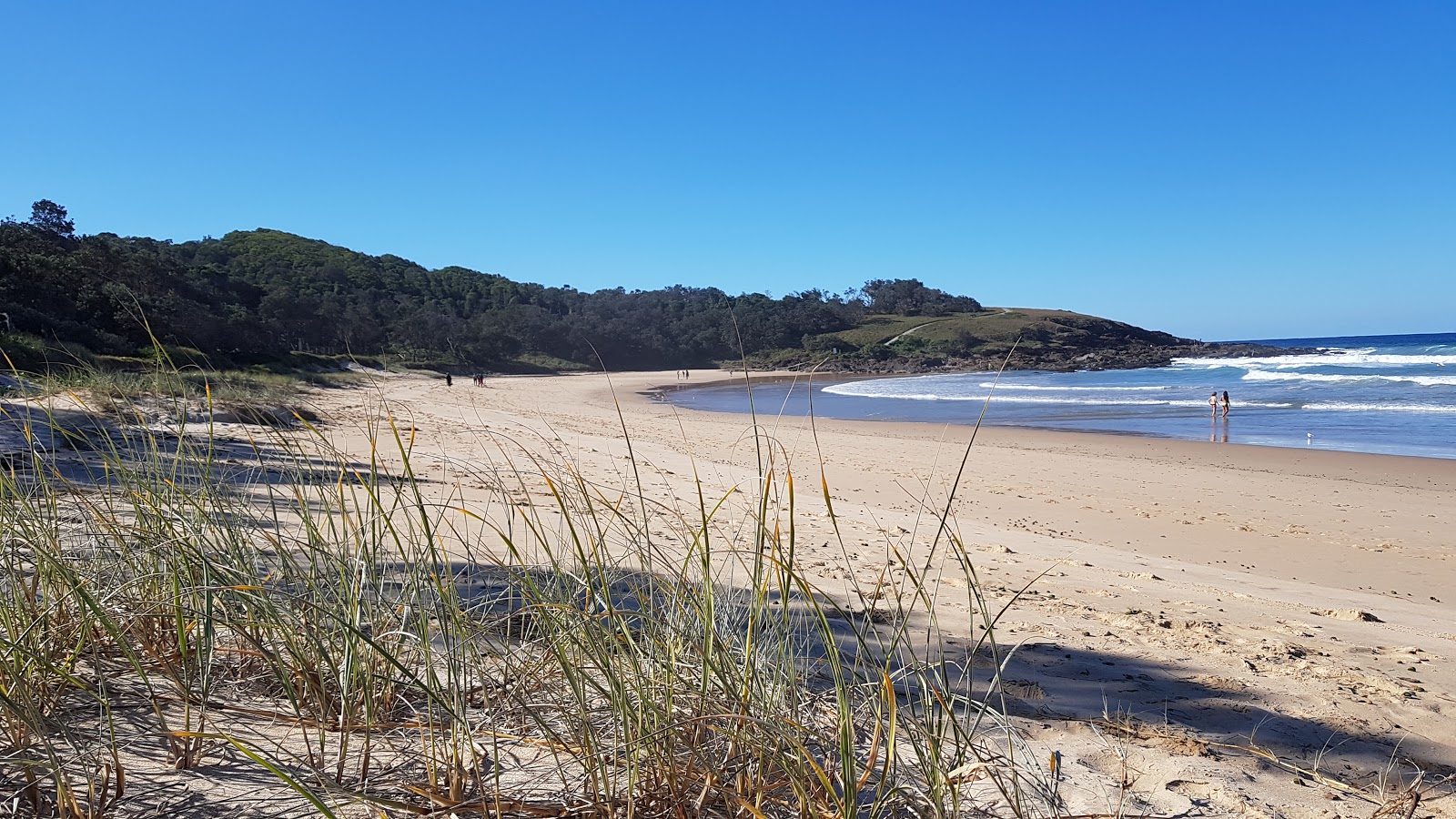 Macauleys Headland Beach photo #8