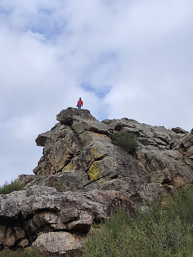 Avaliações doBaloiço dos Castelos em Tábua - Agência de viagens