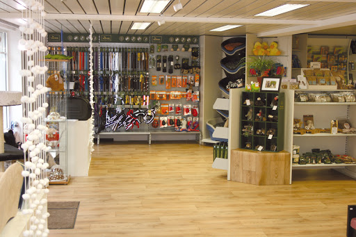 Gassi & Co. unter Schmallenberg, 