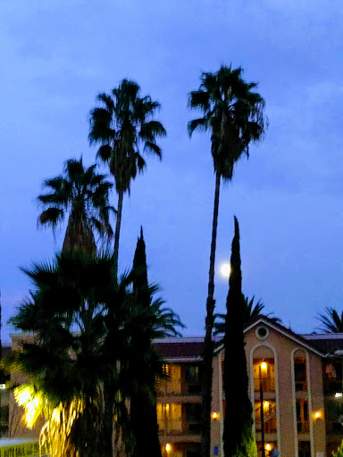 Liquor Store «Liquor Mart», reviews and photos, 2044 E Colorado Blvd #1, Pasadena, CA 91107, USA