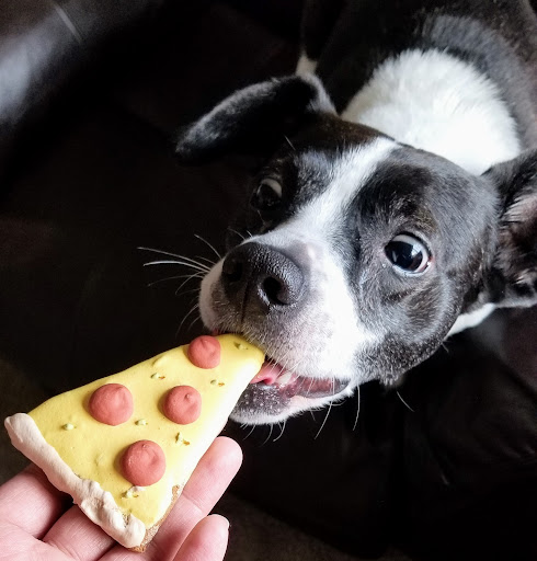 Pet Store «Paws Natural Pet Emporium», reviews and photos, 8551 W Gage Blvd, Kennewick, WA 99336, USA