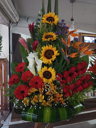 Pasteleria Anita en Acayucan