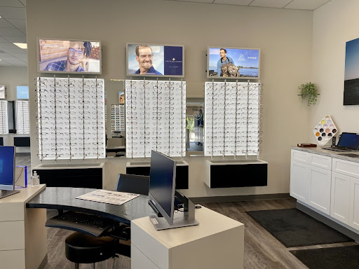 GV Optical image