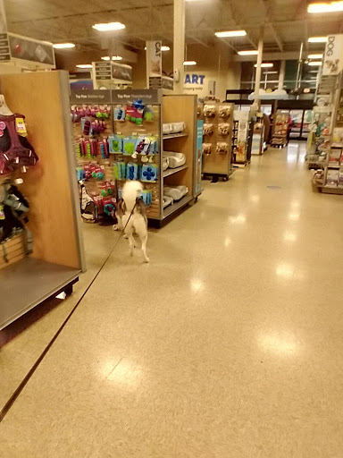 Pet Supply Store «PetSmart», reviews and photos, 2610 Eldridge Pkwy, Houston, TX 77082, USA