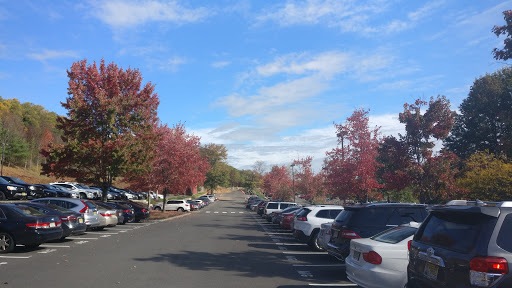 Aig Insurance Co, 100 Connell Dr # 2100, Berkeley Heights, NJ 07922, Insurance Company