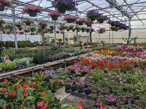 Country Colors Greenhouse image 1