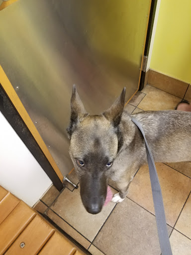 Pet Supply Store «PetSmart», reviews and photos, 534 US-441, Lady Lake, FL 32159, USA