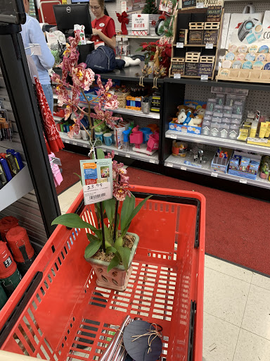 Hardware Store «Vision Ace Hardware», reviews and photos, 910 S Pinellas Ave, Tarpon Springs, FL 34689, USA