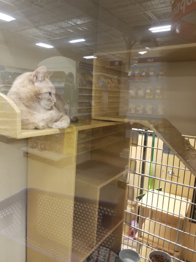 Pet Supply Store «PetSmart», reviews and photos, 310 N White Horse Pike, Lawnside, NJ 08045, USA
