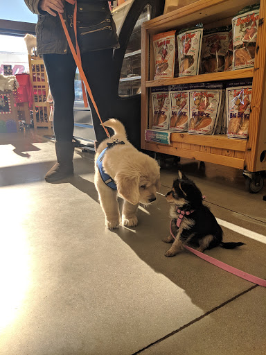 Pet Supply Store «Bark!», reviews and photos, 2101 Somerville Rd, Annapolis, MD 21401, USA