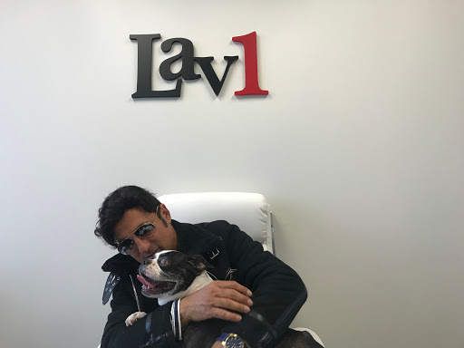 LaV1 - Los Angeles SEO Company image