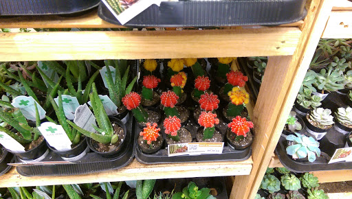 Home Improvement Store «The Home Depot», reviews and photos, 10800 Brookpark Rd, Cleveland, OH 44130, USA