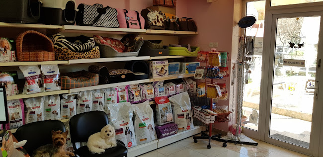 Opinii despre Κτηνιατρείο Νυμφοπούλου Σόνια ( Veterinary Clinic) în Γάζι - Κτηνίατρος