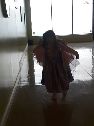 Dance School «Rhythm N Jump Dance Academy», reviews and photos, 31503 Harper Ave, St Clair Shores, MI 48082, USA