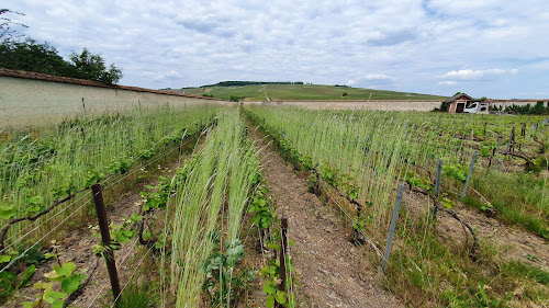 Champagne Pierre LEBOEUF à Aÿ-Champagne